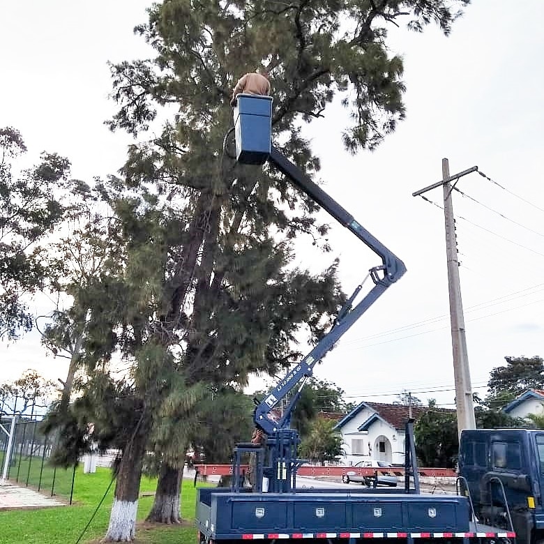 Poda com caminhão plataforma em área residencial