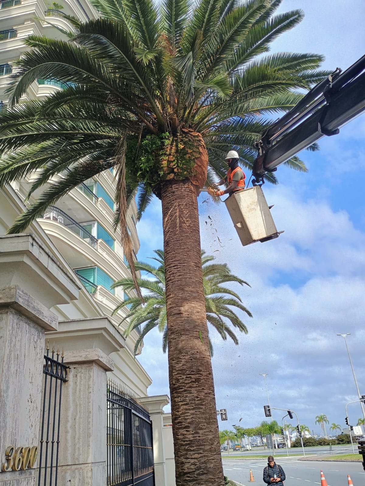Poda de árvores em condomínio