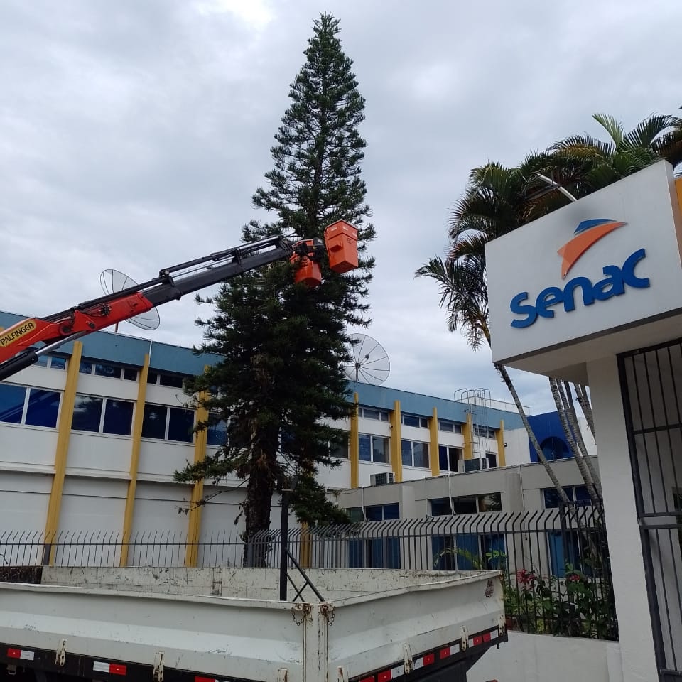 Equipe Nativa Soluções realizando poda de árvore com guindaste